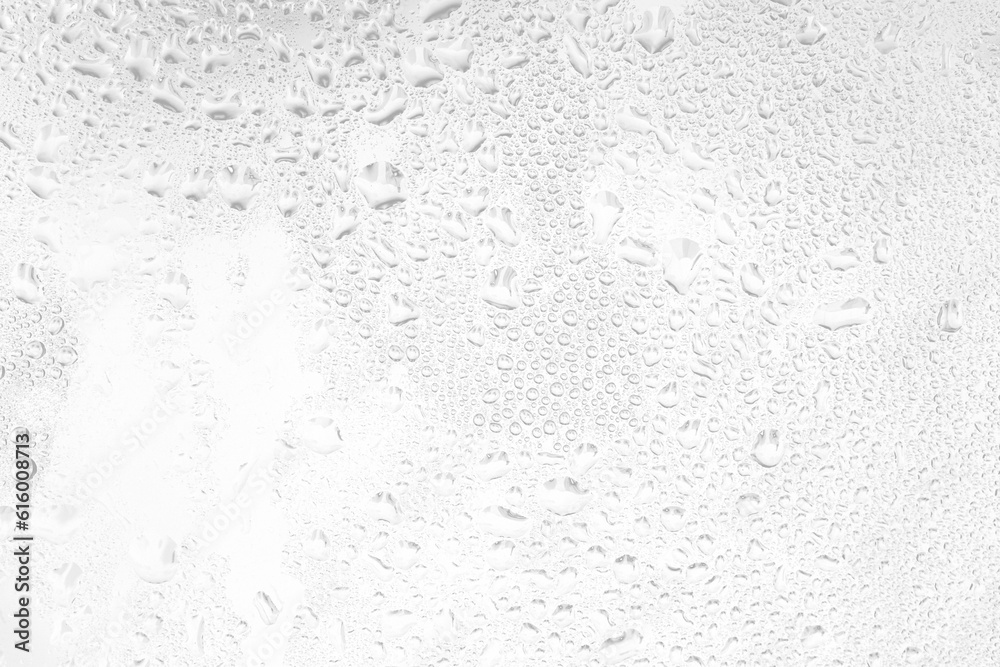transparent water drops texture - obrazy, fototapety, plakaty 