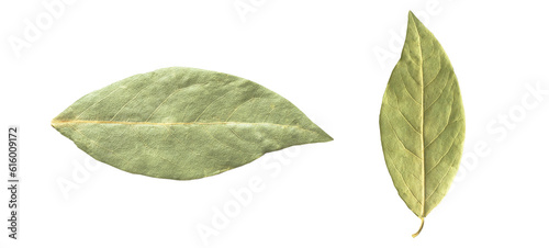 Dry bay leaf isolated on a white background. Green bay leaf. Aroma ingredient. Natural healthy food and diet. photo