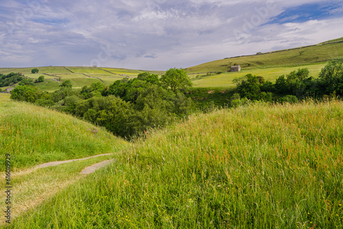 Beautifull scenery in Upper Swaledale near Keld in the Yorkshire Dales National Park