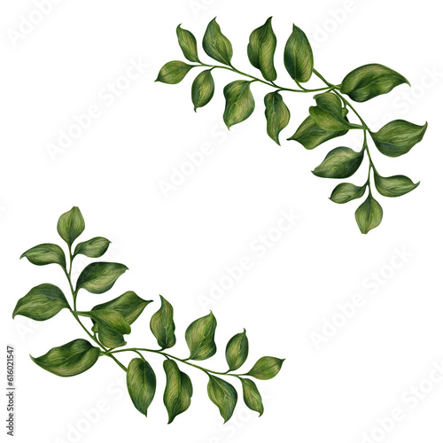 Watercolor illustration of frame from green ruscus branches with leaves for wedding, birthday, greeting card, menu, banner, border, stickers. Elements isolated on white background.