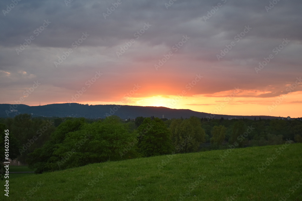 Park-Natur-Bäume-Sonnenuntergang-Sommer-Kassel