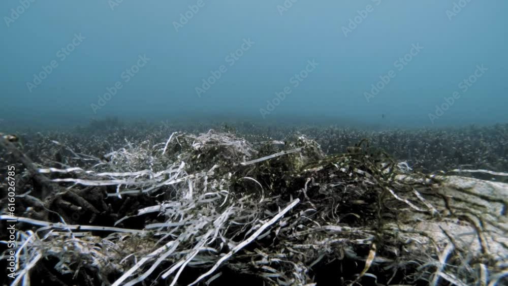 garbage littering the ocean floor. Numerous ribbons of debris sway and ripple amidst the coral reef garbage littering the ocean floor. Numerous ribbons of debris sway and ripple amidst the coral reef