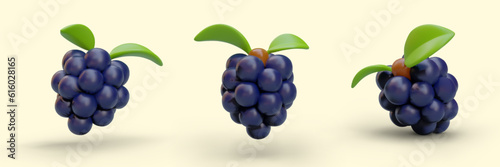 Set of 3D blackberries in cartoon style. Black ripe sweet berries with leaves. Vector image from different sides. Icons for culinary applications, recipes, advertising