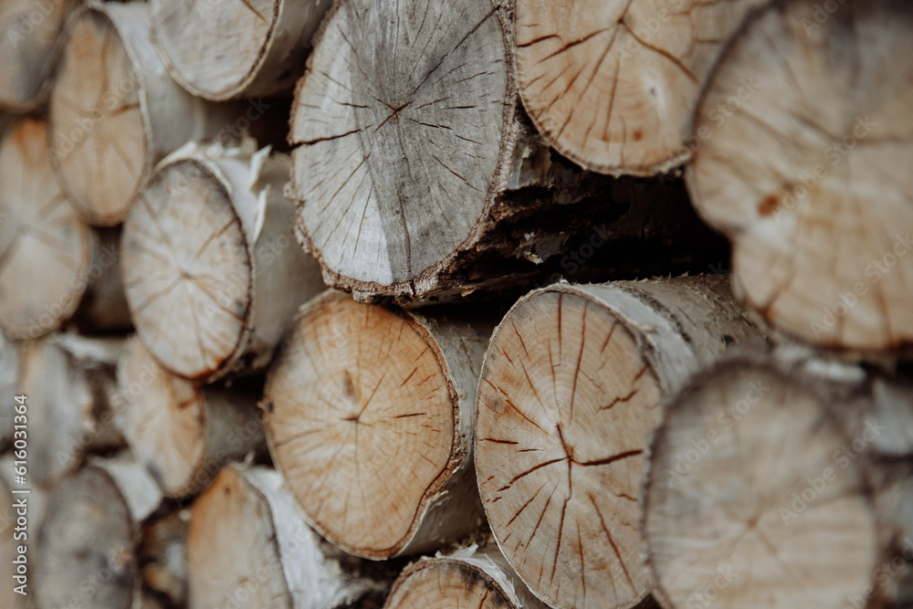 A wall made of timber trunks, abundant in wood and soil. A wall made of timber trunks, abundant in wood and soil.
