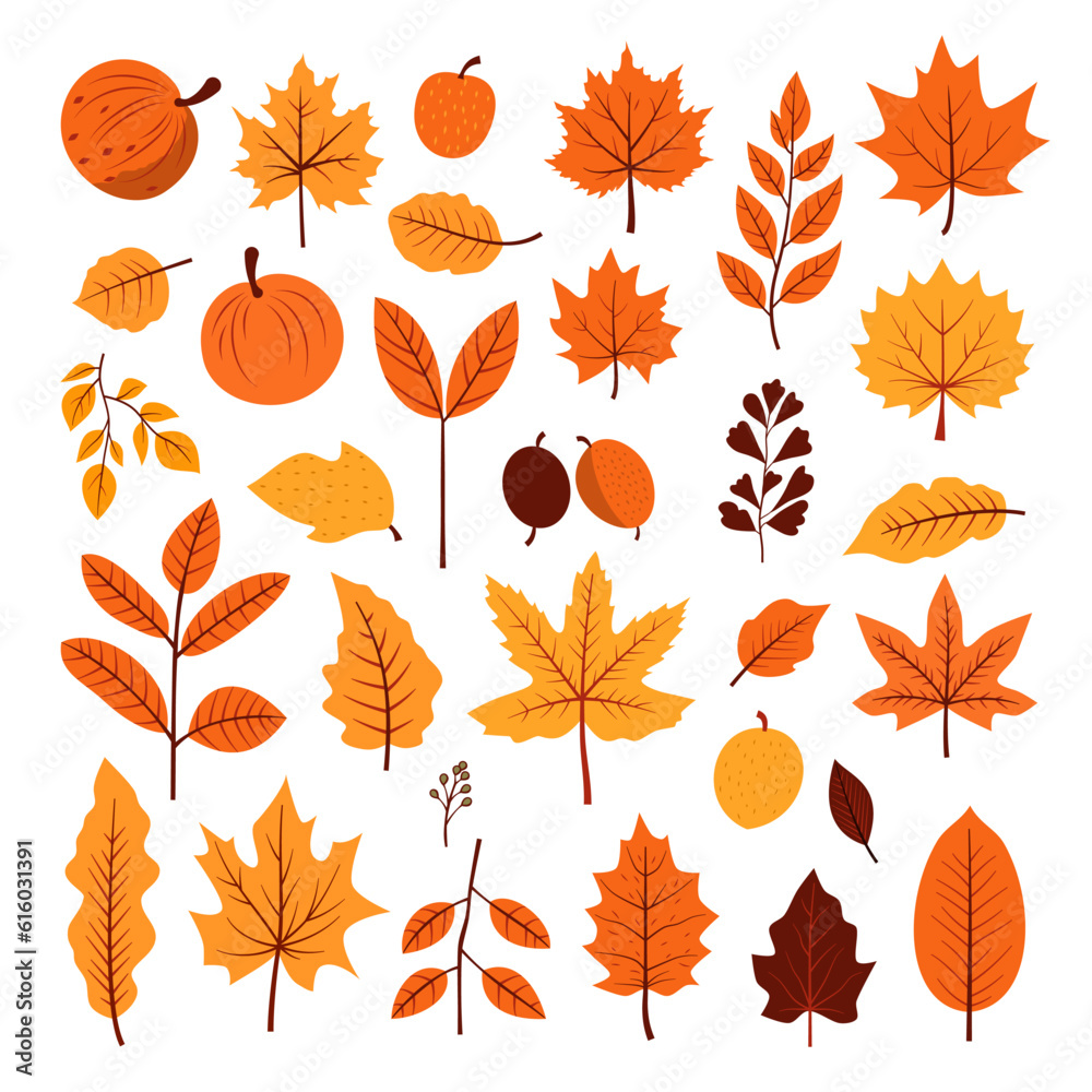 Collection set of Autumn fall leaves decoration element, flat style illustration. Collection set of Autumn fall leaves decoration element, flat style illustration.