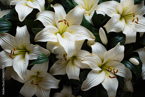 Lily Flowers Wallpaper Closeup Vegetation Background Created Using Artificial Intelligence