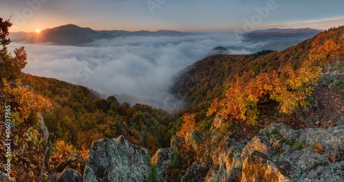 Autumn landscape with rocks, colorful leaves on the trees, inversion, fog and rising sun. Awesome Autumn landscape.  © Ivan