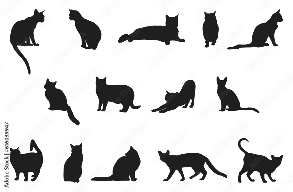 Set of silhouettes of cats vector illustration