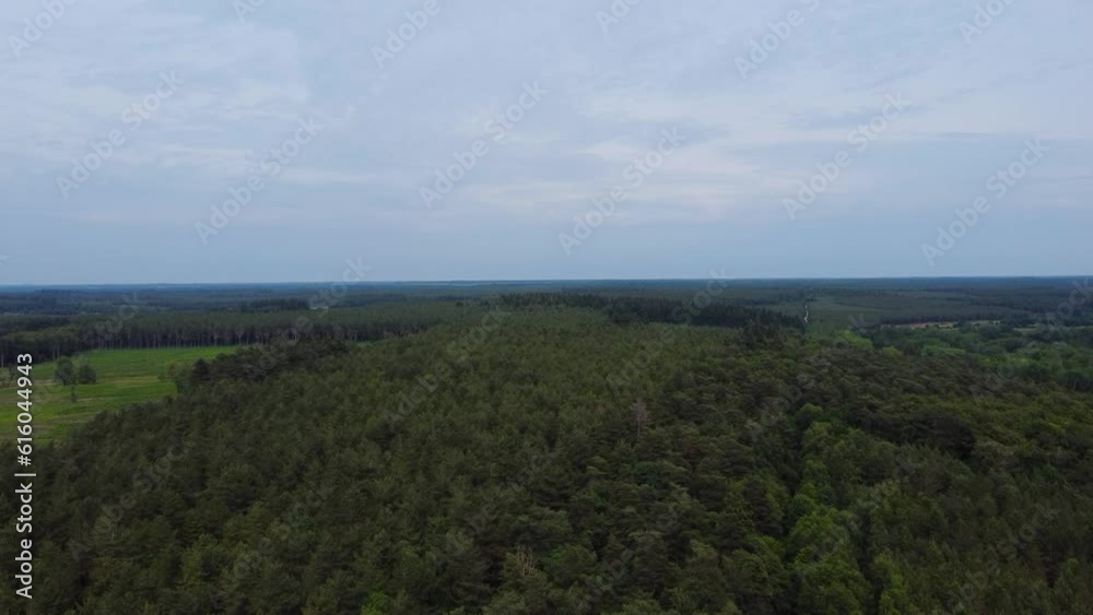 Aerial establishing shot of a forest with a blue sky in the background in the morning Aerial establishing shot of a forest with a blue sky in the background in the morning