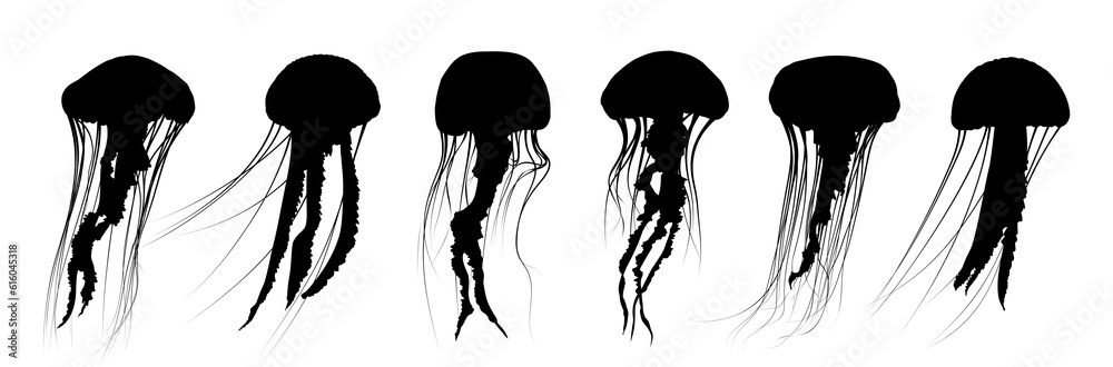 Fototapeta premium The set silhouettes of a large sea jellyfish. 