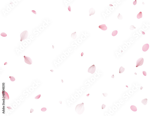 Flying Spring Sakura.