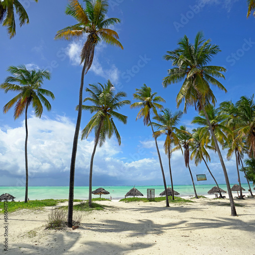 Fototapeta Naklejka Na Ścianę i Meble -  Palmen am Strand von Sansibar