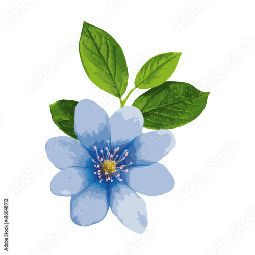 blue flower with leaf isolated on white background, vector illustration.