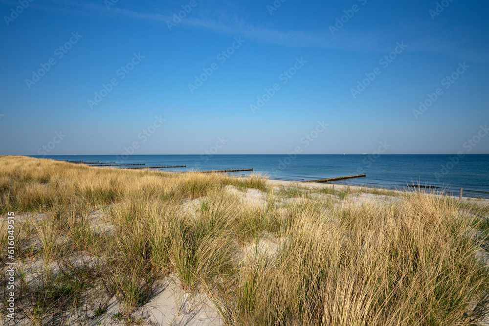 Dünen an der Ostsee