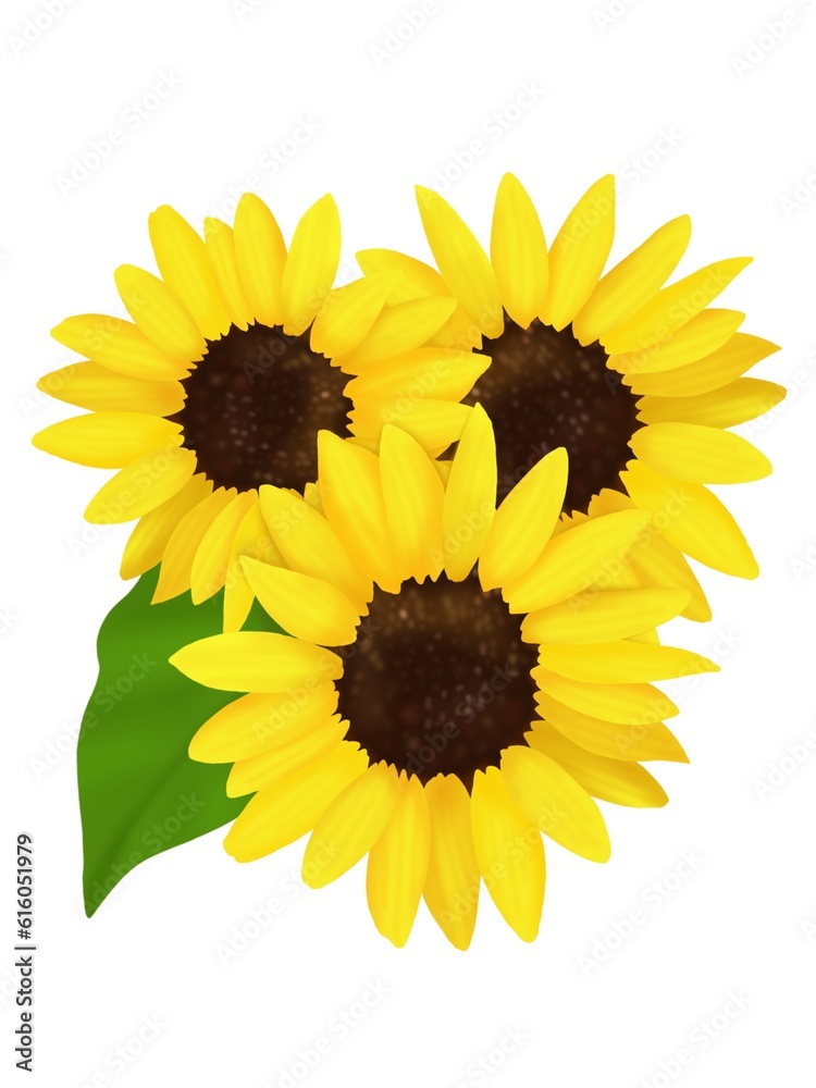 Obraz premium ひまわり