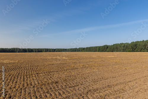 A plowed field with fertile soil for agricultural activities