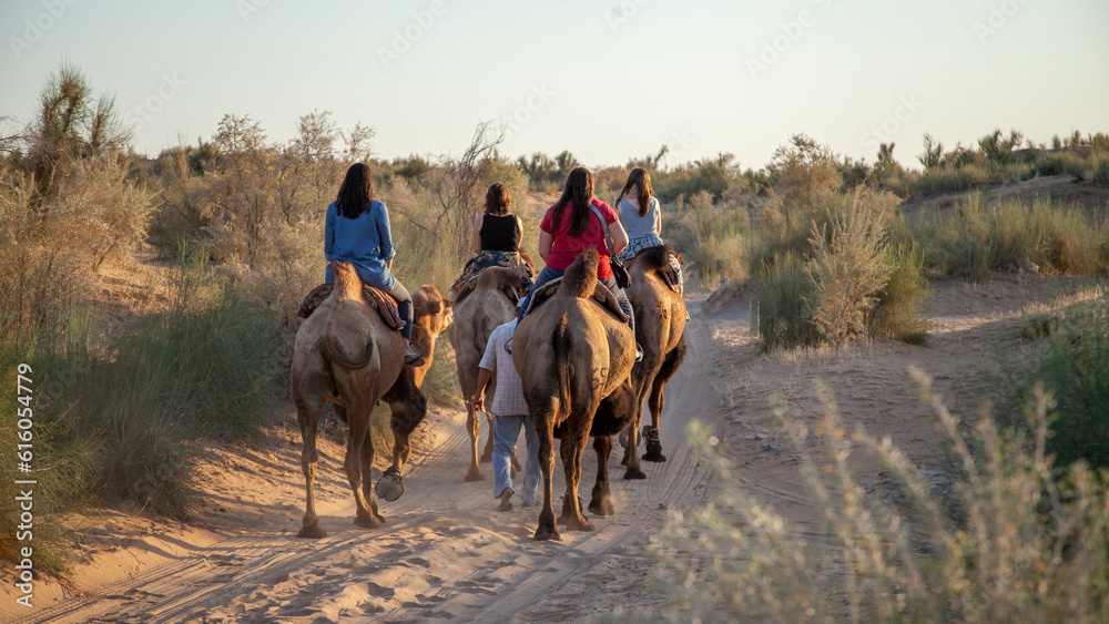 Naklejka premium a travels traveling in camel