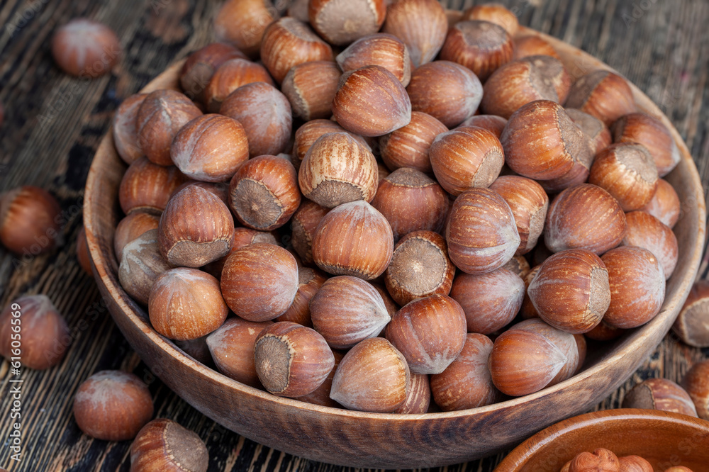 not peeled from the hard shell of useful hazelnuts not peeled from the hard shell of useful hazelnuts
