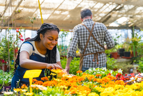 Black ethnic female flower nursery worker cutting the plants in the greenhouse © unai