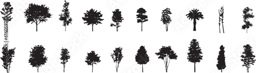 tree silhouettes on white background. Vector illustration.