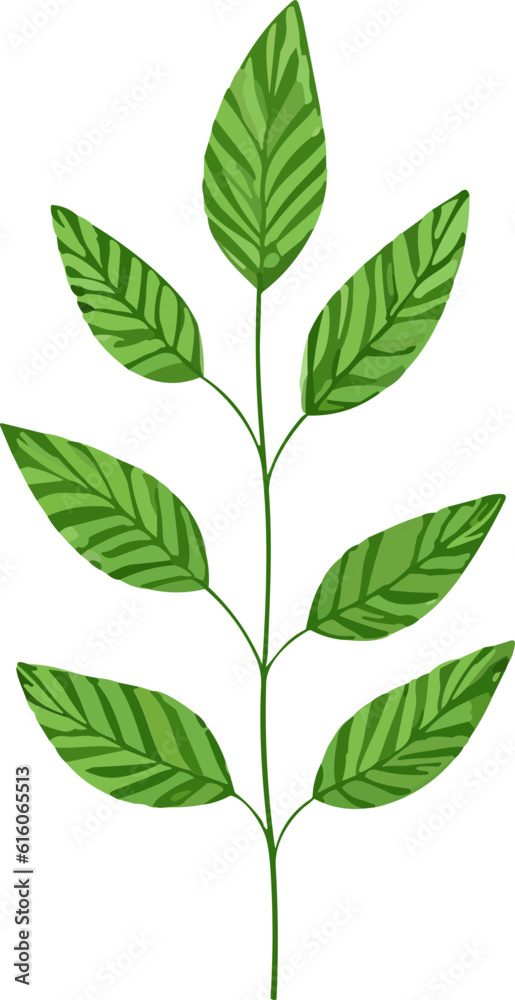 Green Leaf nature element Green Leaf nature element