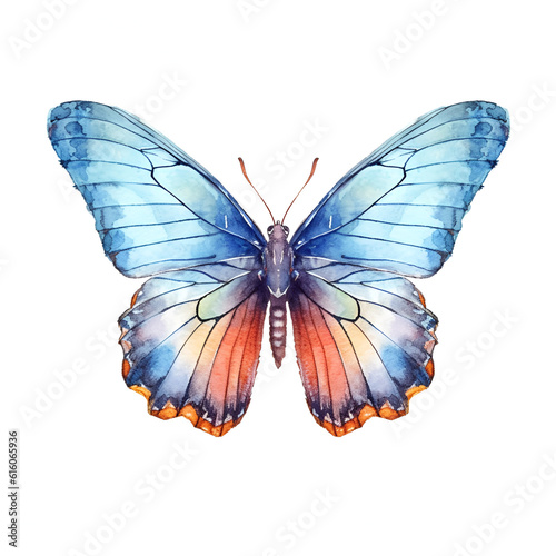butterfly isolated on white background, for poster, backdrop, banner, powerpoint 