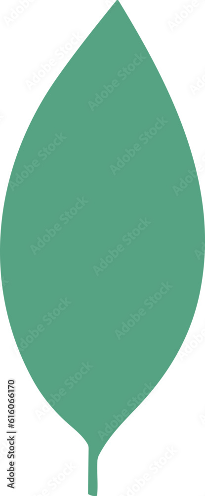 shapes of green leaves vector illustration shapes of green leaves vector illustration