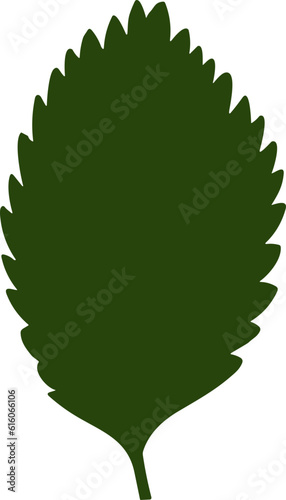 shapes of green leaves vector illustration