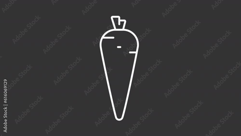 Animated carrot white line icon. Garden plant animation. Organic vegetable. Healthy food. Loop HD video with chroma key, alpha channel, transparent background. Outline motion graphic animation Animated carrot white line icon. Garden plant animation. Organic vegetable. Healthy food. Loop HD video with chroma key, alpha channel, transparent background. Outline motion graphic animation
