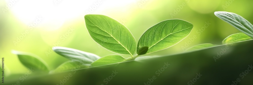 Close up of nature view green leaf on blurred greenery background. Copy space. generative ai Close up of nature view green leaf on blurred greenery background. Copy space. generative ai