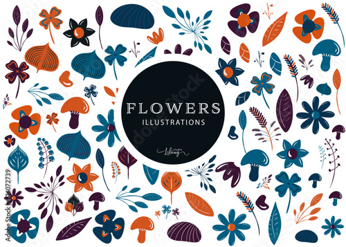 Flowers illustrations