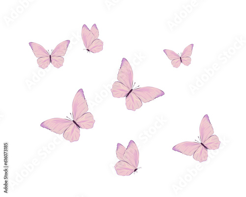 set of butterfly © gltekin