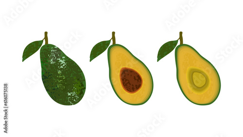 Set of fresh whole and half avocado