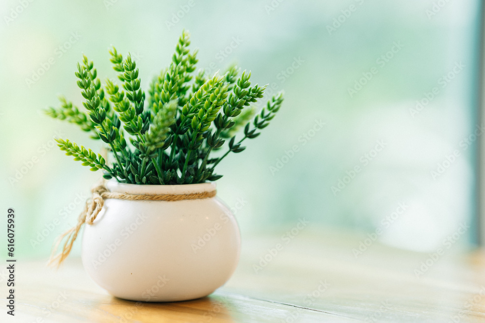 Decorate the house with a small plant on the dining table. Home decorating ideas.