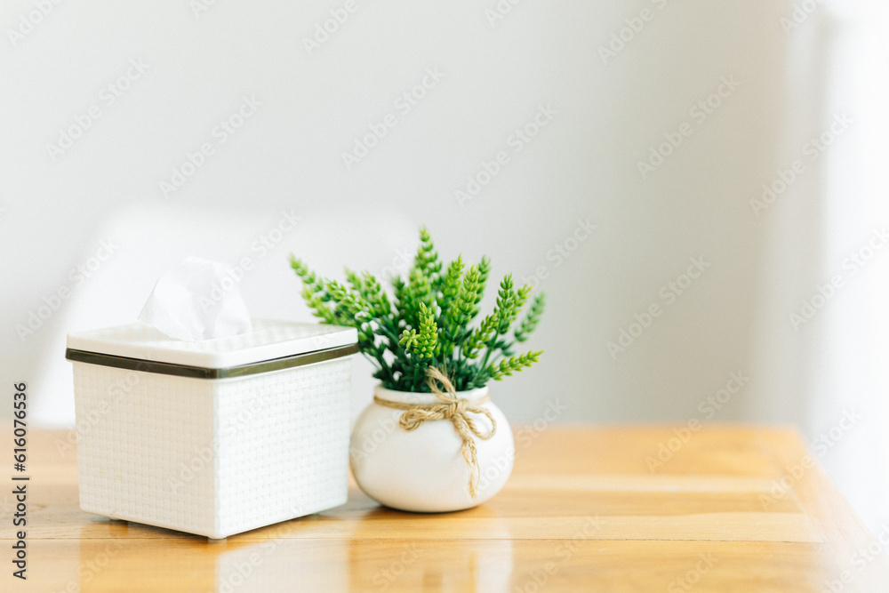 Air-purifying plants in small pots decorate a table and have bright window lighting. Home decorating ideas. Air-purifying plants in small pots decorate a table and have bright window lighting. Home decorating ideas.