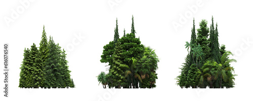 group of trees isolated on a transparent background, forest, sketch, outline illustration, cg render