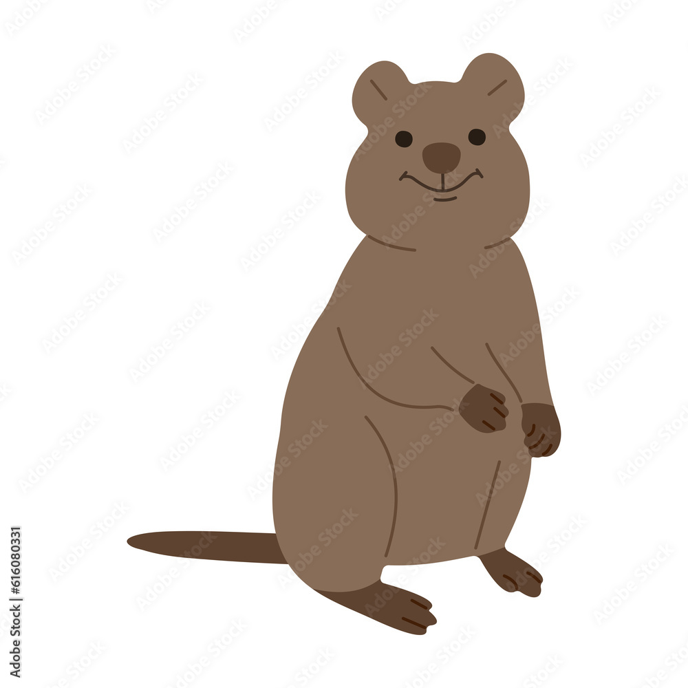 quokka single 10 PNG quokka single 10 PNG