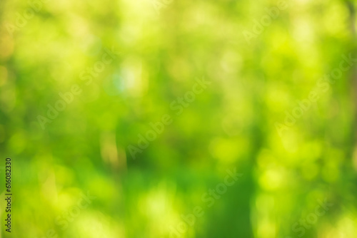 Green abstract natural blurred background.