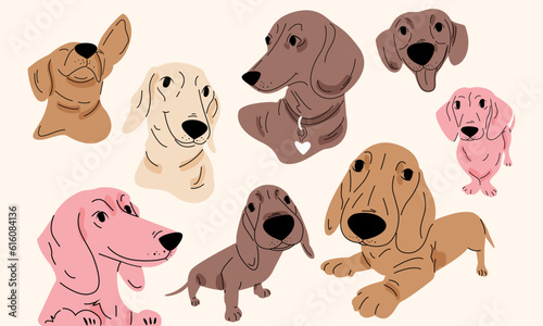 Collection of cute happy dachshund dogs in different poses. Cartoon style. Flat vector illustration
