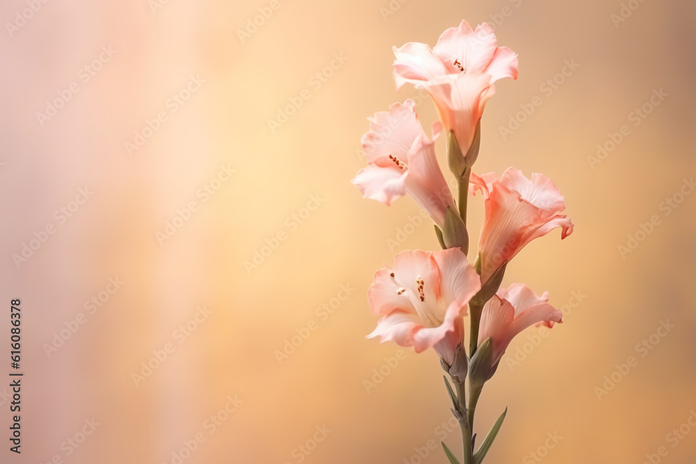 Obraz premium Radiant Gladiolus Blossom