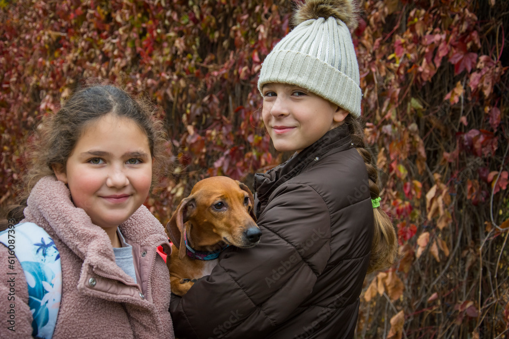 In the autumn park, girls hold a dachshund in their arms. In the autumn park, girls hold a dachshund in their arms.