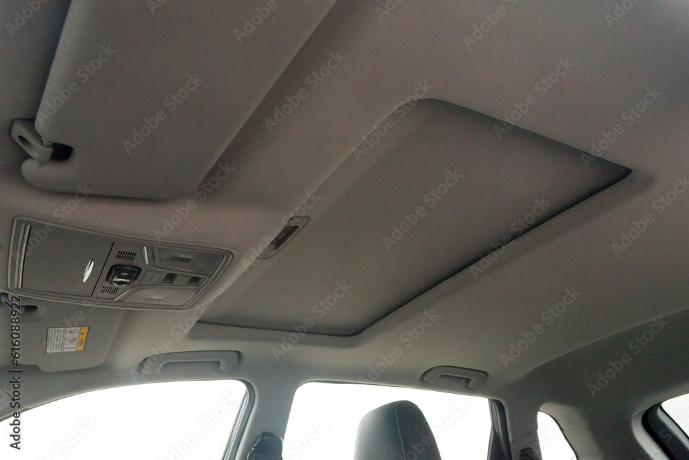 view from inside the car on the hatch in the roof of the SUV view from inside the car on the hatch in the roof of the SUV