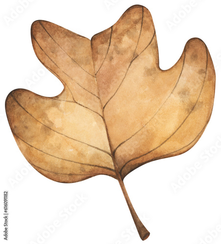 Autumn leaf. Watercolor illustration.