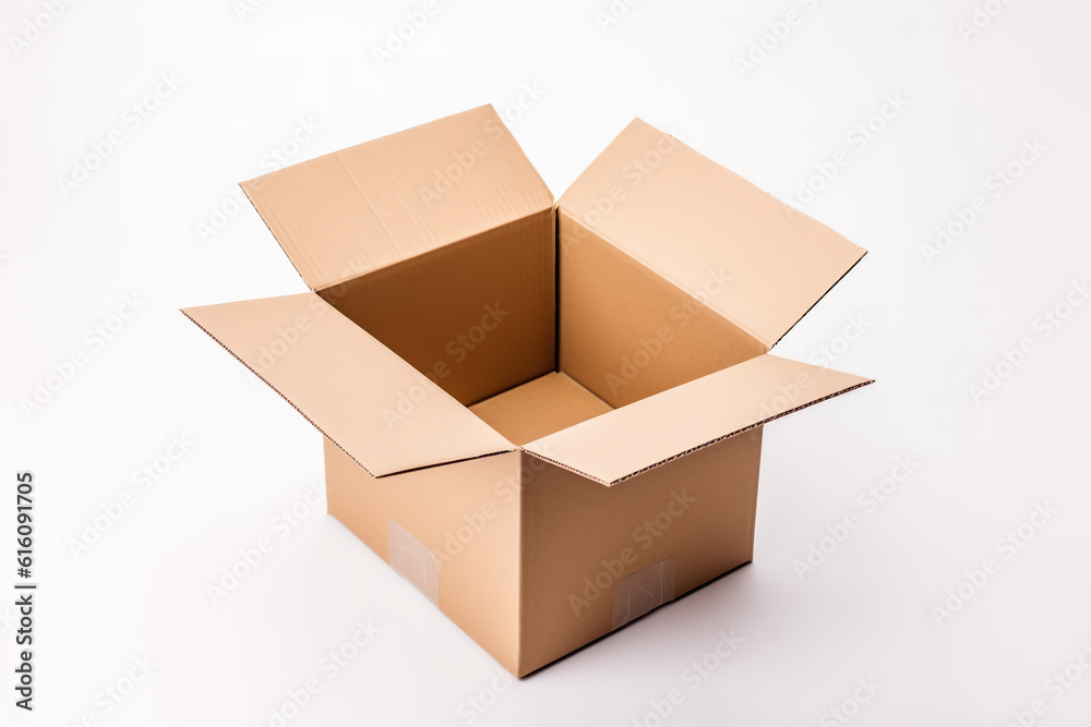 Open Cardboard Box on White Background