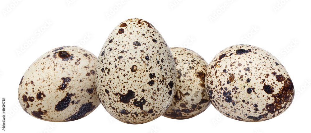 Delicious quail eggs cut out