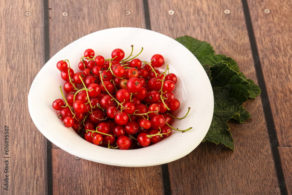 Ripe sweet organic red currant heap Ripe sweet organic red currant heap
