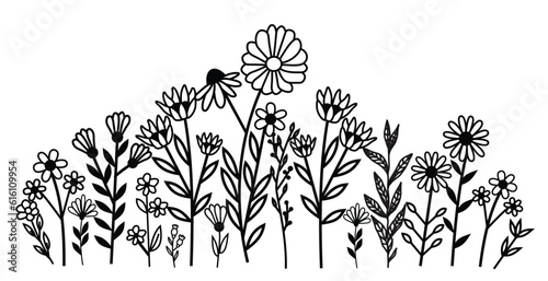 Wild Flower, Transparent Flower, Leaves, Spring, Sunflower 