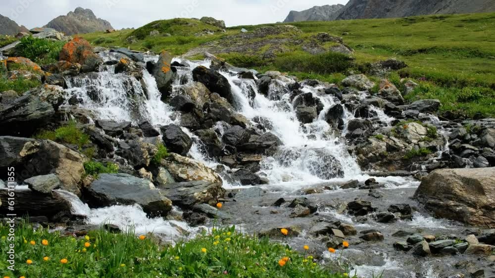 Video of Altai river Yarlyamry. The stream is surrounded by alpine forb meadows. Video of Altai river Yarlyamry. The stream is surrounded by alpine forb meadows.