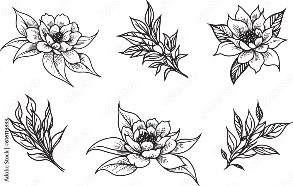 Fototapeta premium Hand Drawing Vector Jasmine Flowers