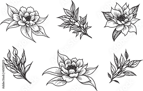 Hand Drawing Vector Jasmine Flowers